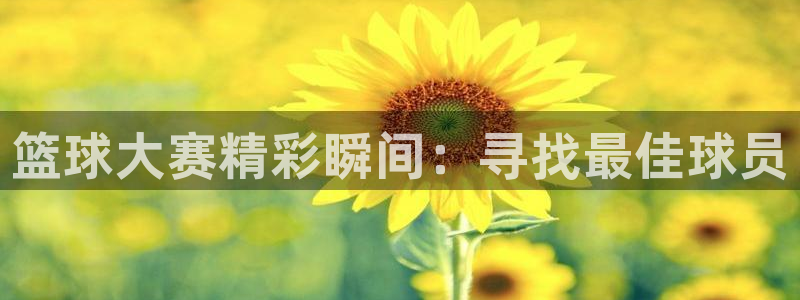  篮球大赛精彩瞬间：寻找最佳球员