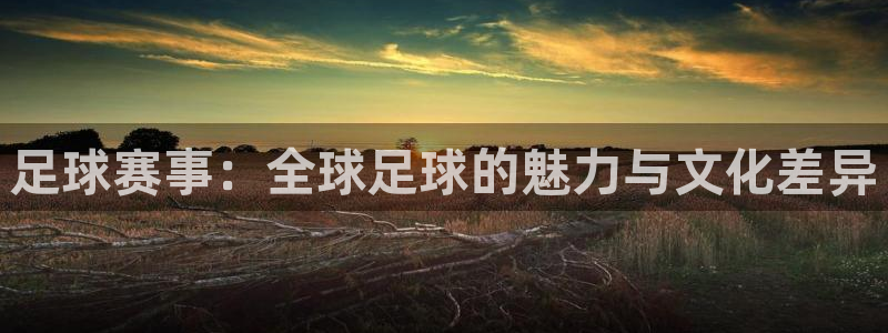  江南jn体育登录入口：足球赛事：全球足球的魅力与文化差异
