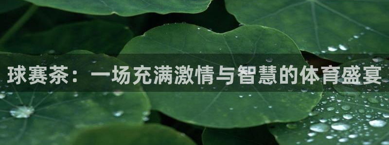江南jn体育官方网：球赛茶：一场充满激情与智慧的体育盛宴