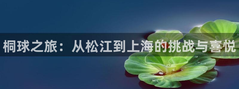 jn江南·体育网页版：桐球之旅：从松江到上海的挑战与喜悦