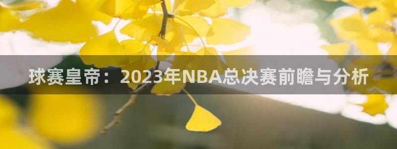 江南JN体育APP最新版本更新内容：球赛皇帝：2023年NB
