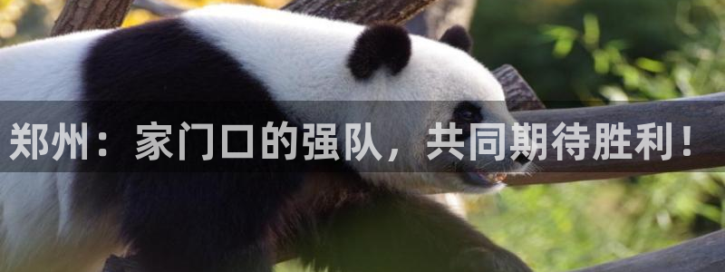  江南jn体育官方网：郑州：家门口的强队，共同期待胜利！